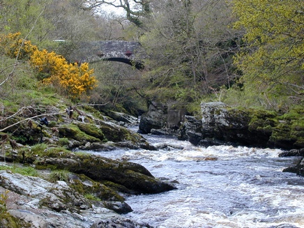 Rapids